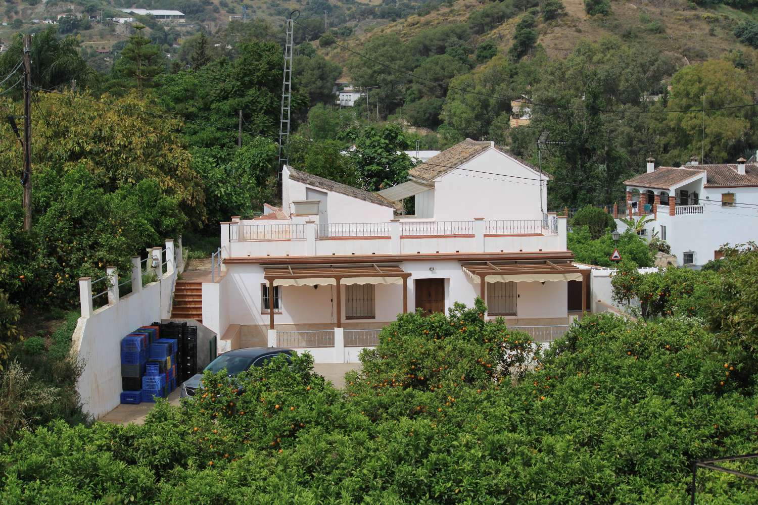 Ferme avec production d'orangers, de noyers et d'avocatiers