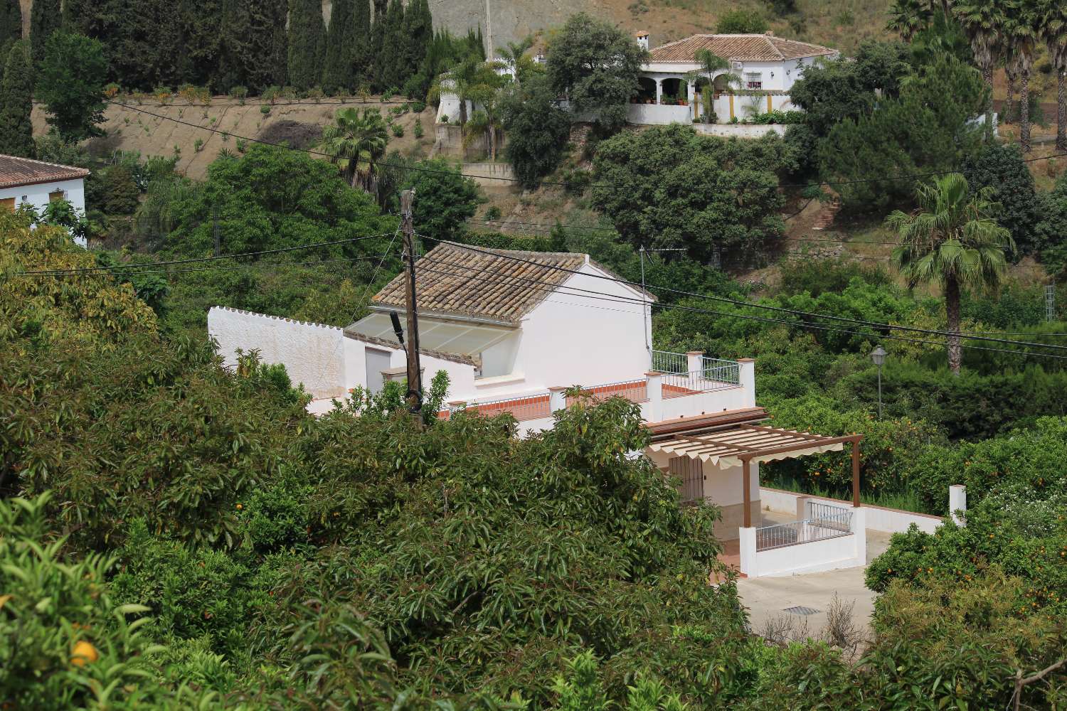 Finca con producción con Naranjos, Nogales y Aguacates