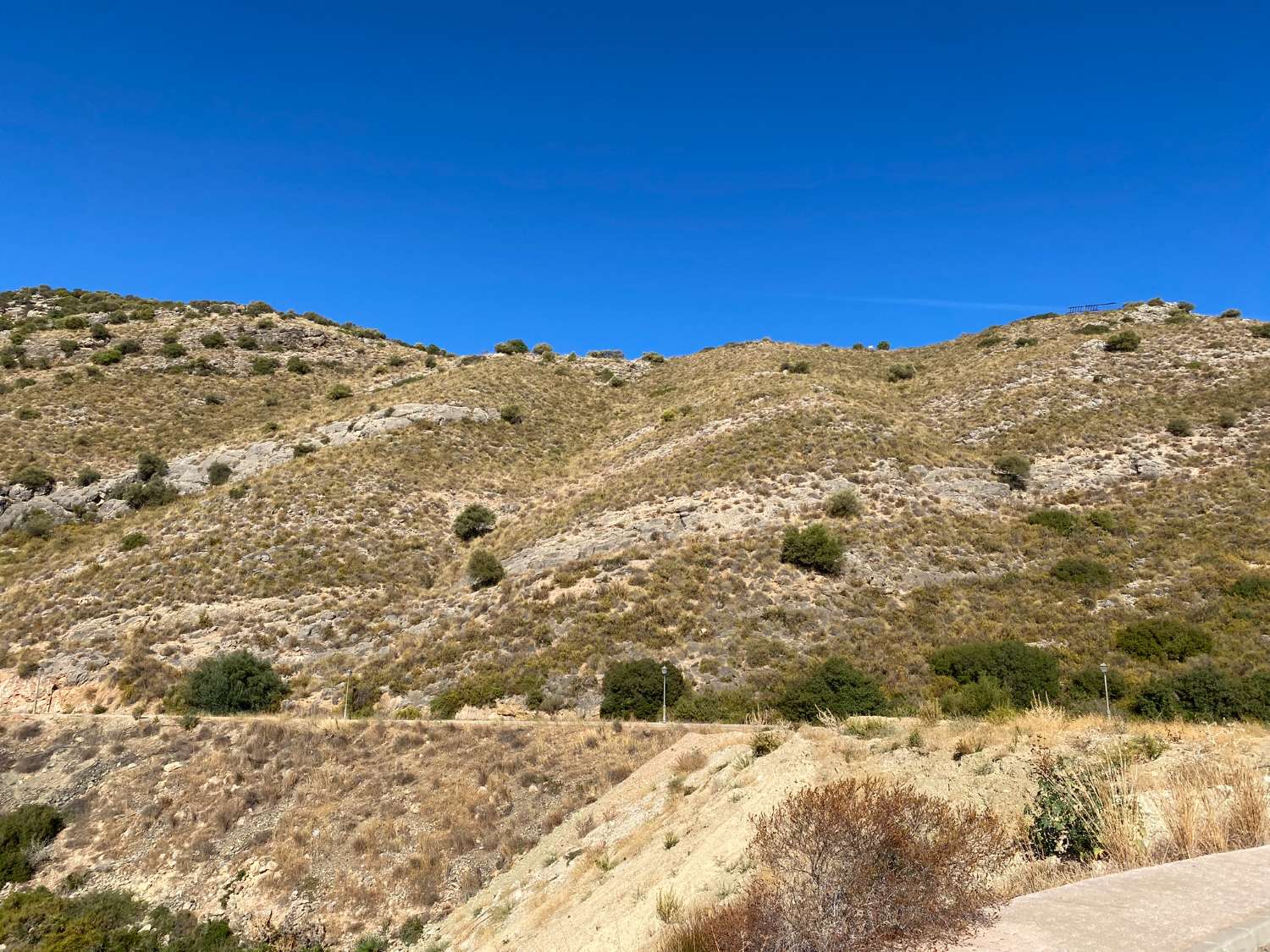 Terrain urbain à Coín