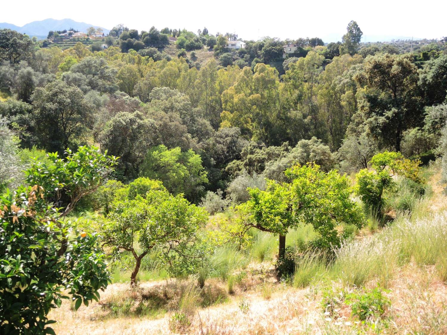 Traumhafte Finca in Alhaurin El Grande.