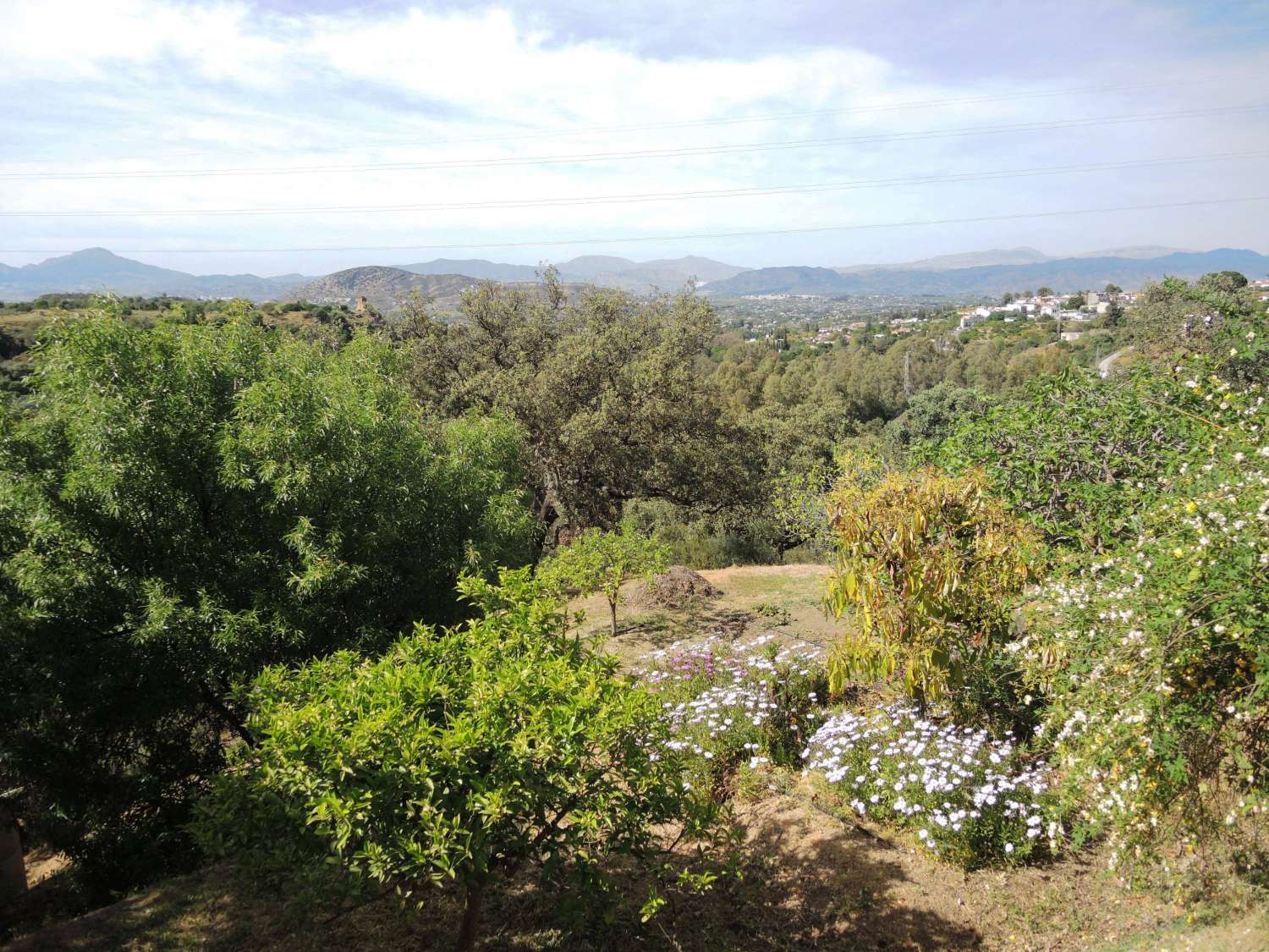 Gran finca ubicada en Alhaurin El Grande.