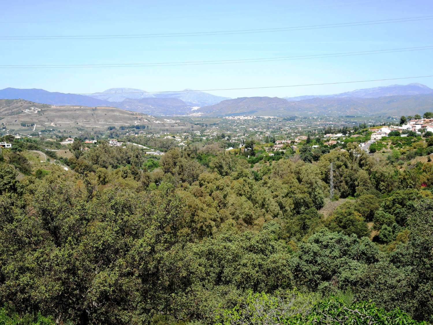 Large farm located in Alhaurin El Grande.