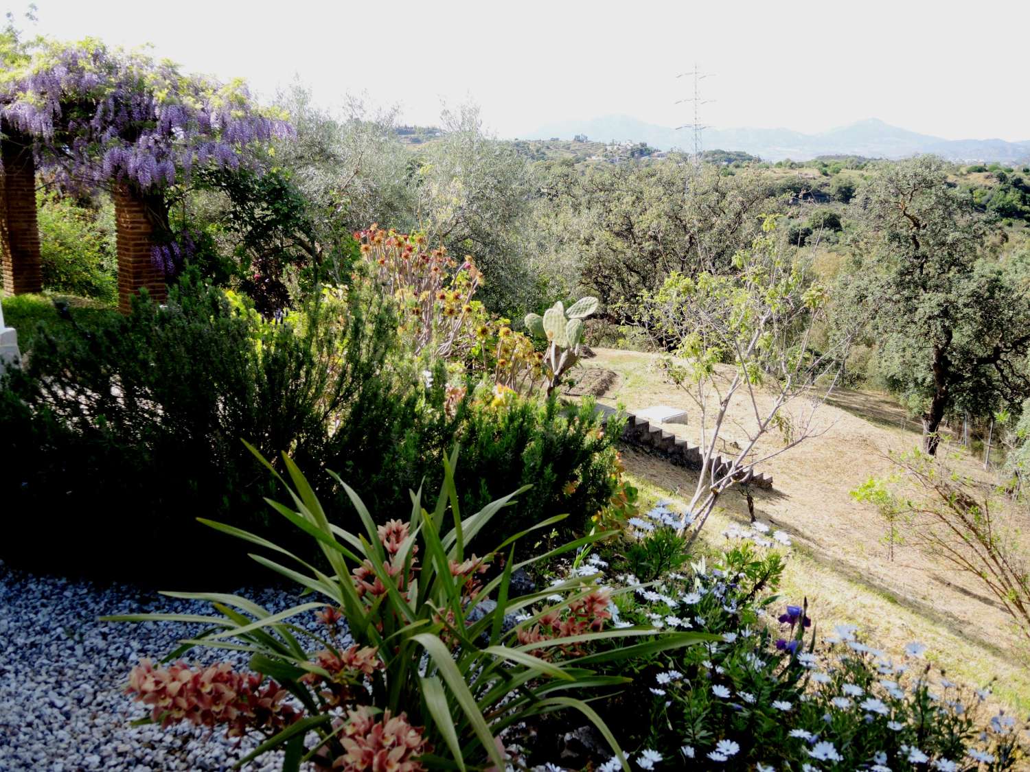 Large farm located in Alhaurin El Grande.