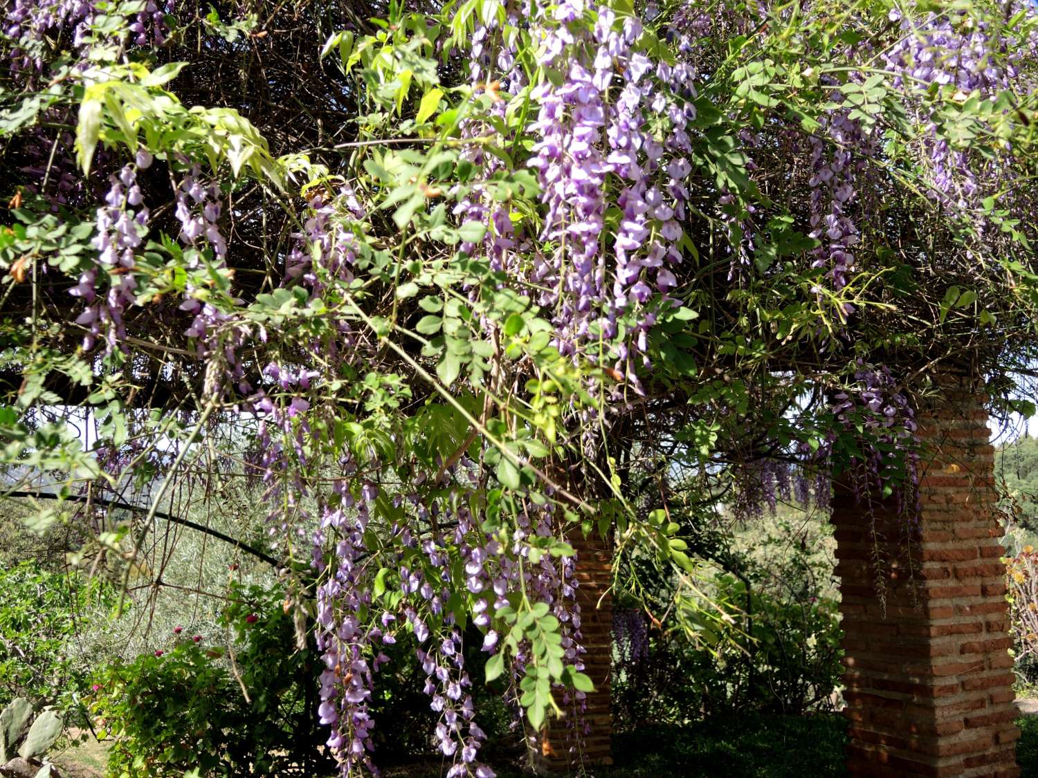 Traumhafte Finca in Alhaurin El Grande.