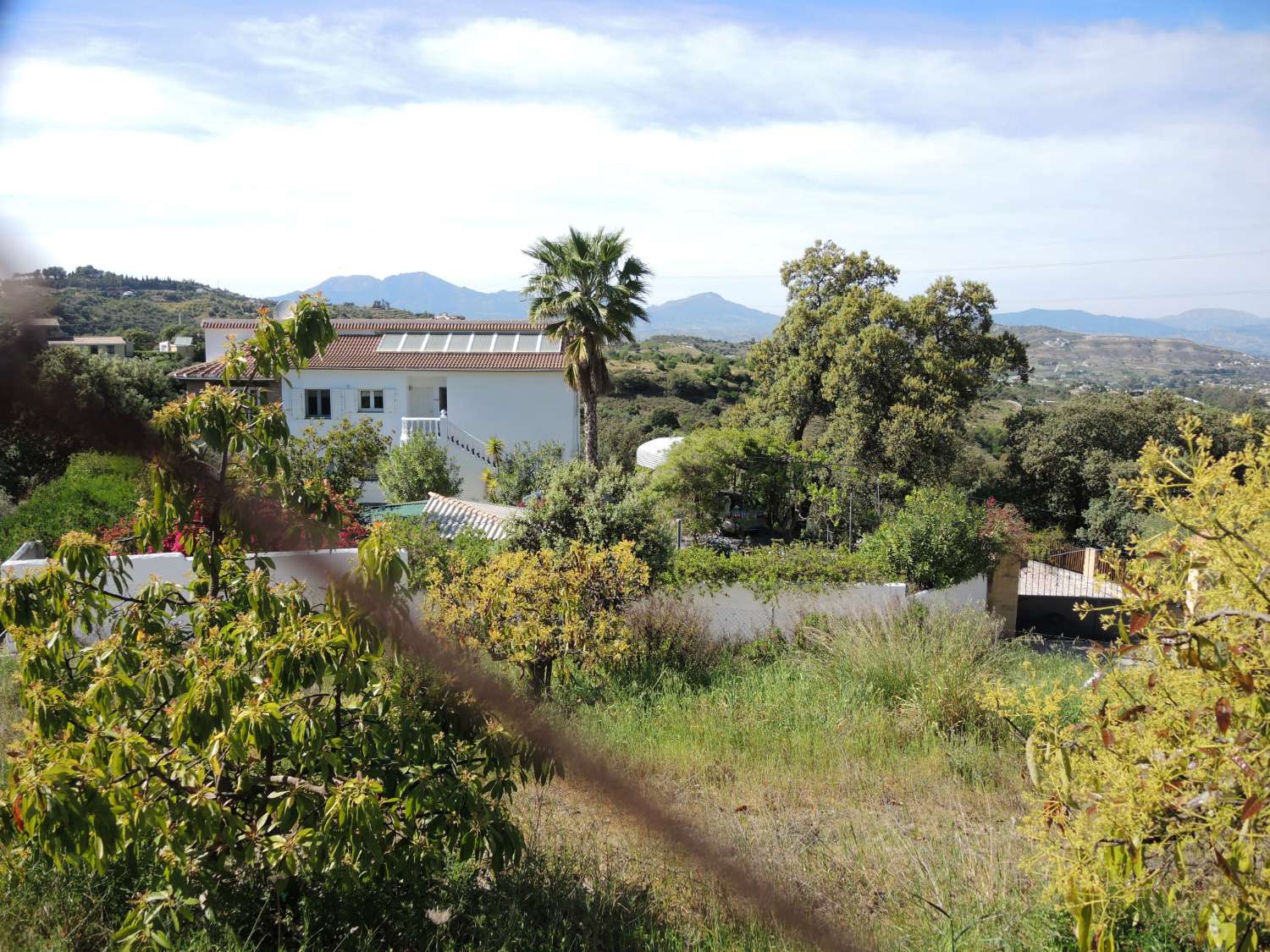 Large farm located in Alhaurin El Grande.