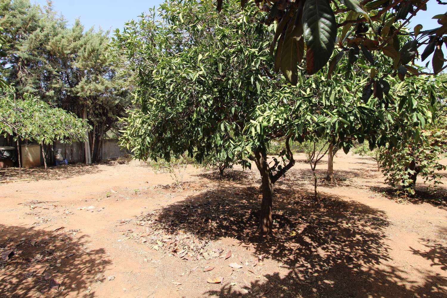 Villa indépendante située à Pinos de ALhaurin.