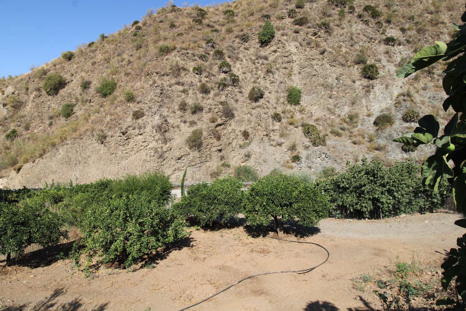 Finca con tres  casas independientes ideal para reformar para turismo rural