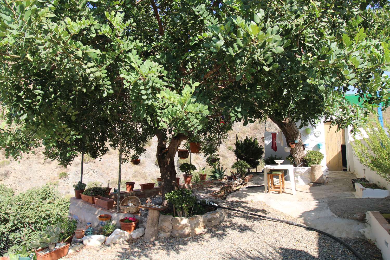 Finca con tres  casas independientes ideal para reformar para turismo rural