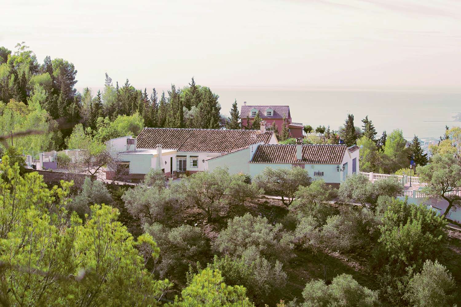 Preciosa finca en Los Montes de Málaga.