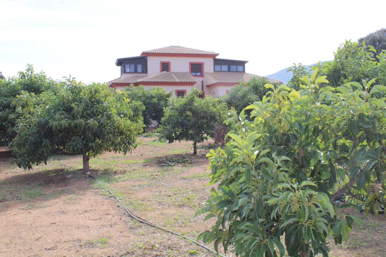 Grande ferme située à Alhaurin de la Torre