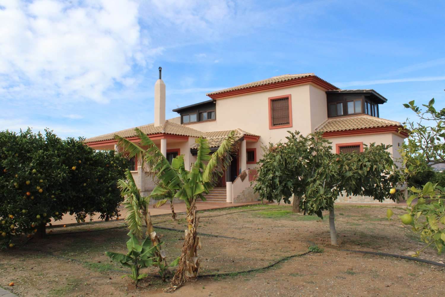 Large farm located in Alhaurin de la Torre