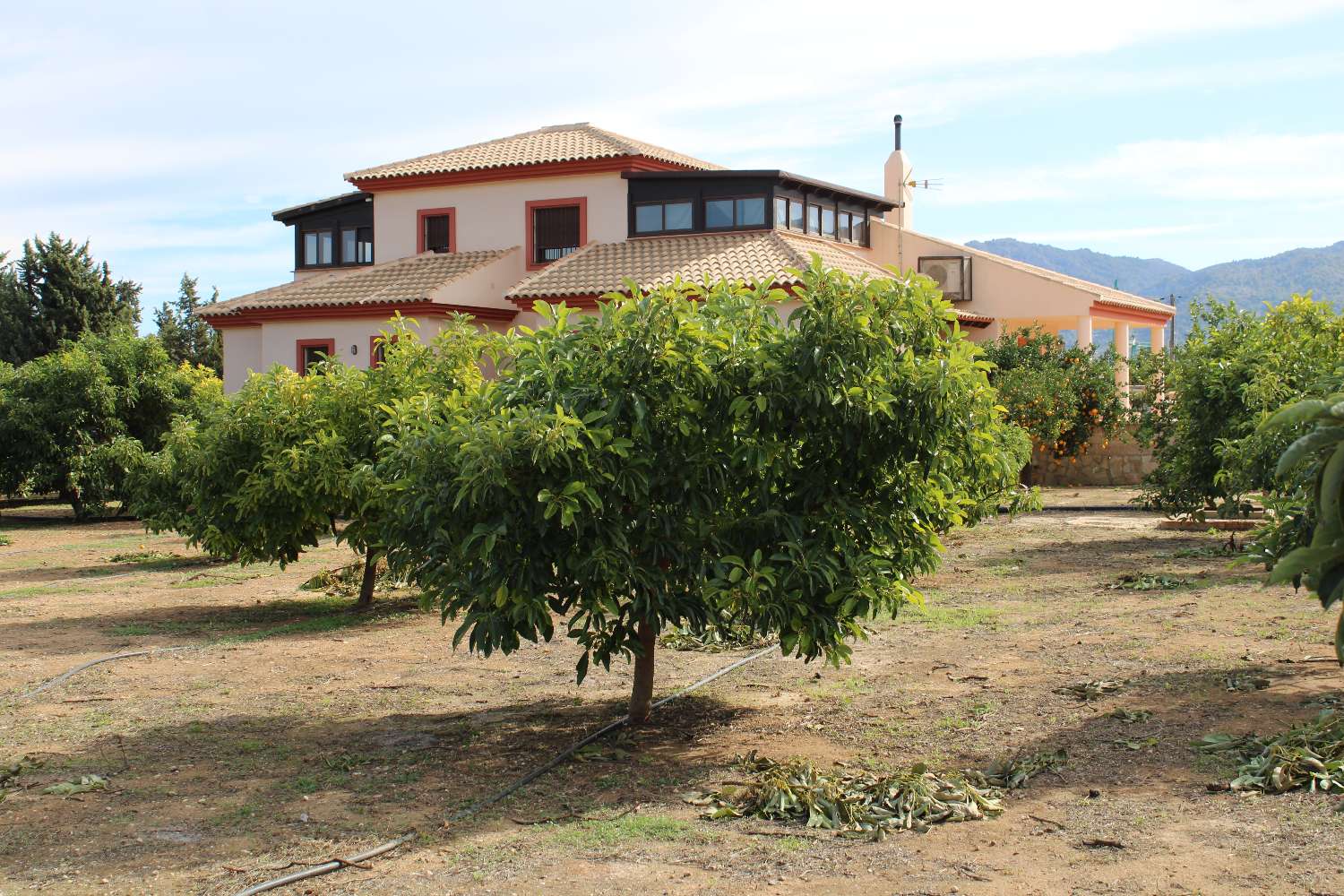 Large farm located in Alhaurin de la Torre