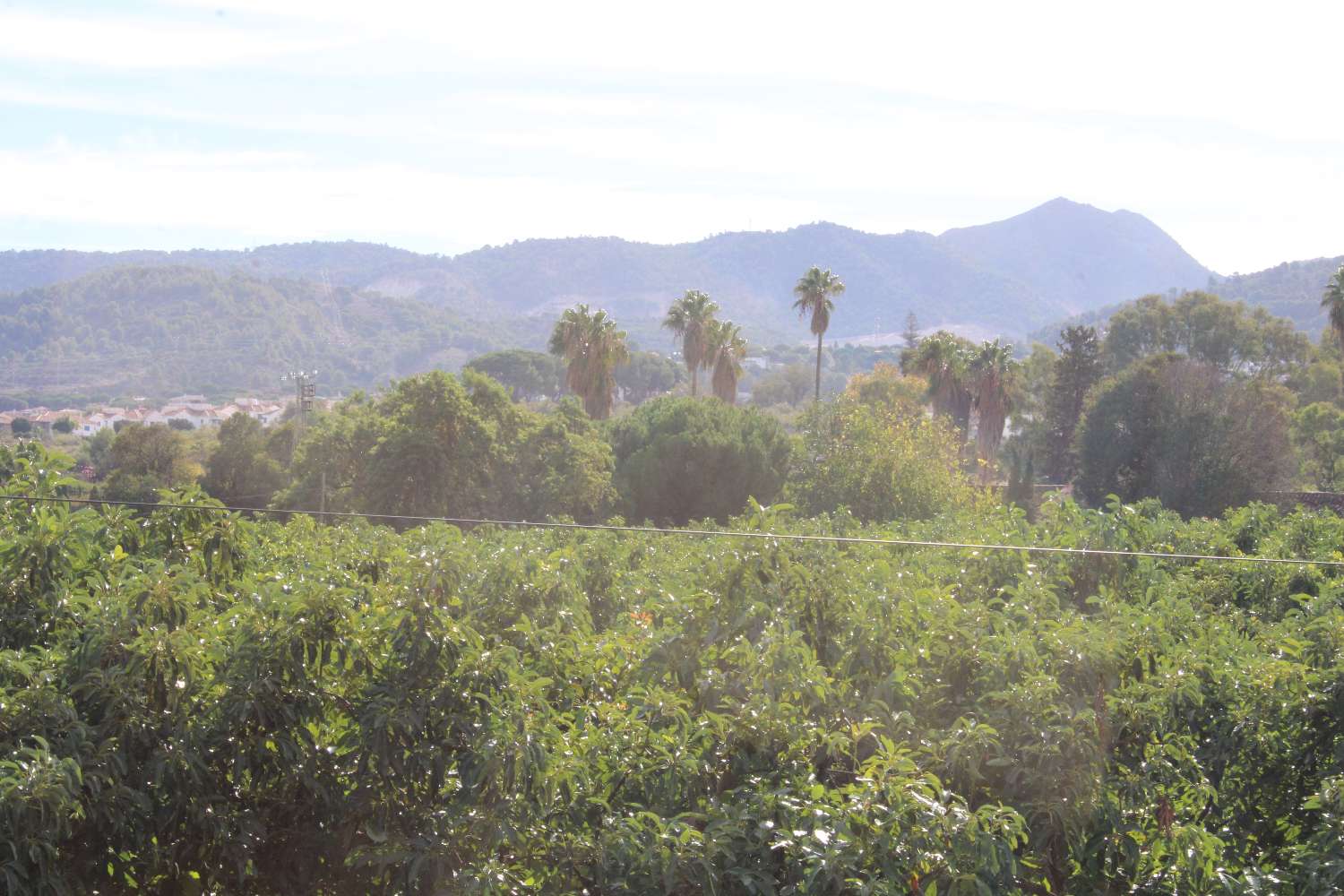 Gran finca ubicada en Alhaurin de la Torre