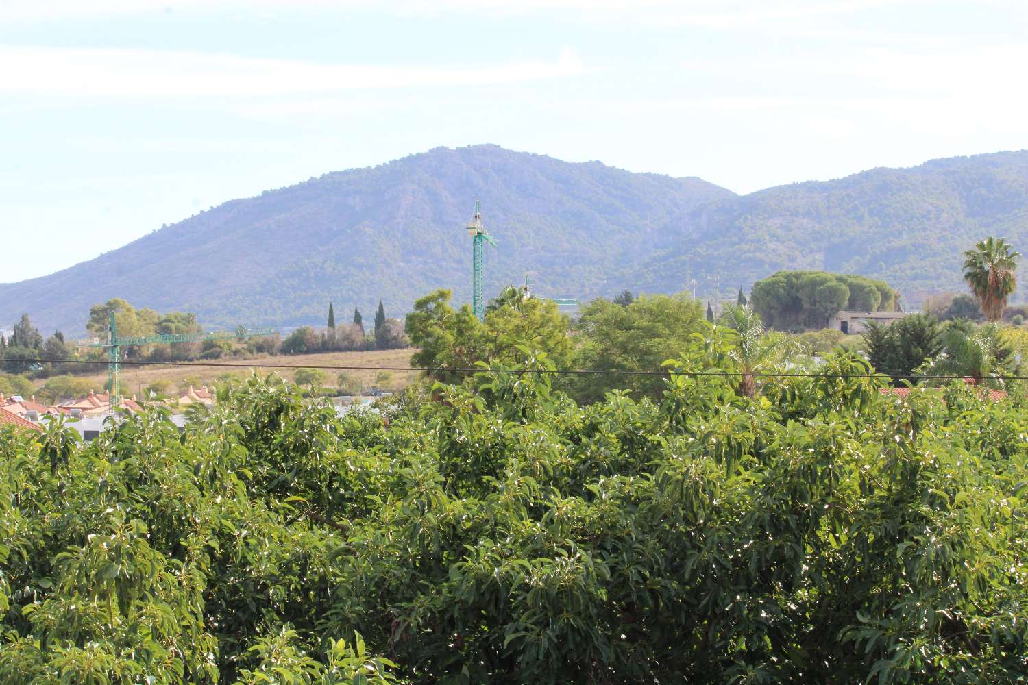 Grande ferme située à Alhaurin de la Torre