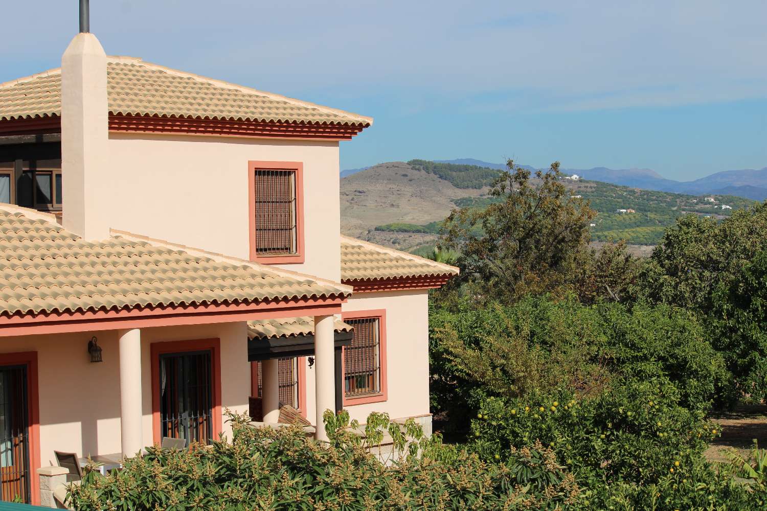 Large farm located in Alhaurin de la Torre