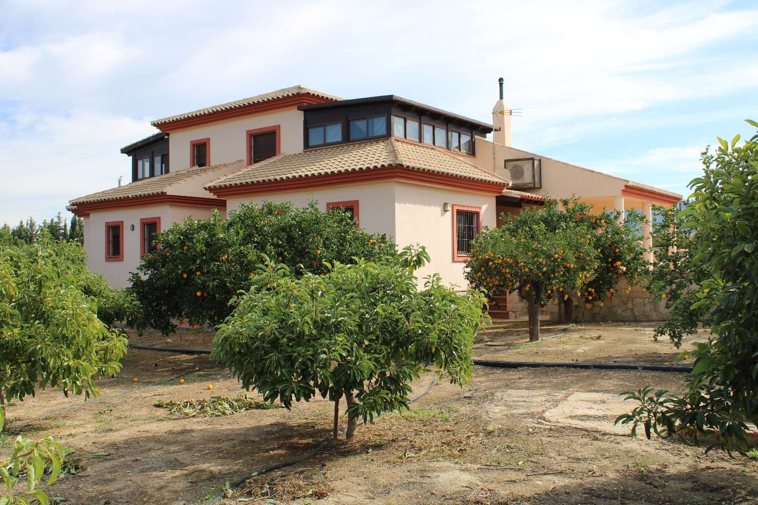 Large farm located in Alhaurin de la Torre