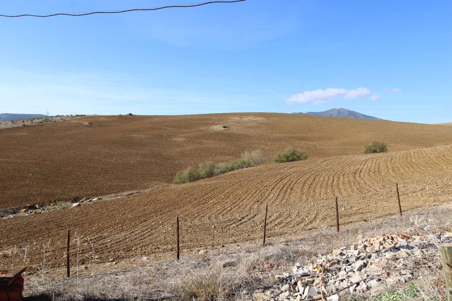 Large farm located in Alora