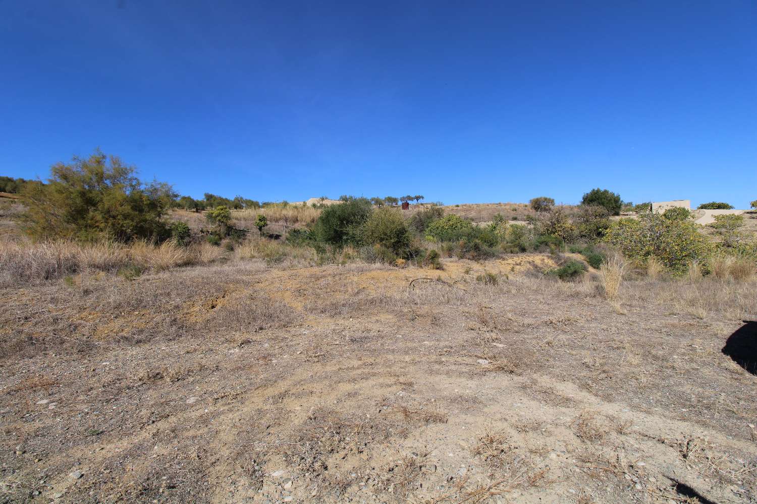 Rustic property in Pizarra