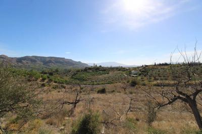 Finca en venta en Pizarra