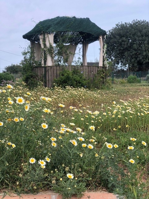 Belle ferme à LA Alquería