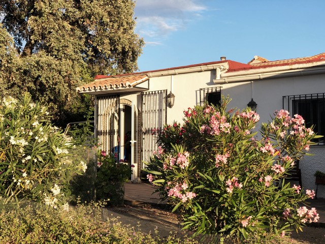 Preciosa finca en La Alquería