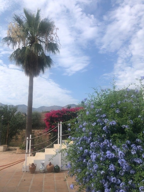 Preciosa finca en LA Alquería