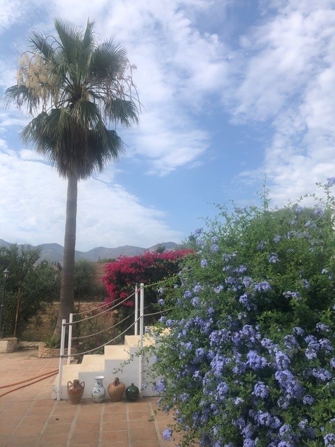 Preciosa finca en La Alquería