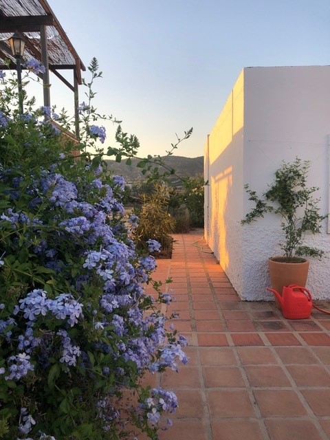 Beautiful farm in LA Alquería