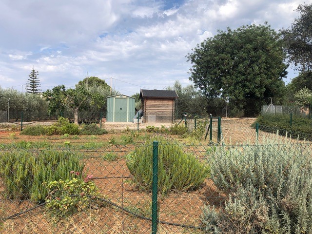 Preciosa finca en LA Alquería