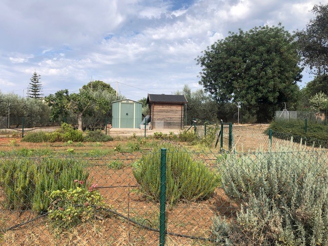 Belle ferme à LA Alquería