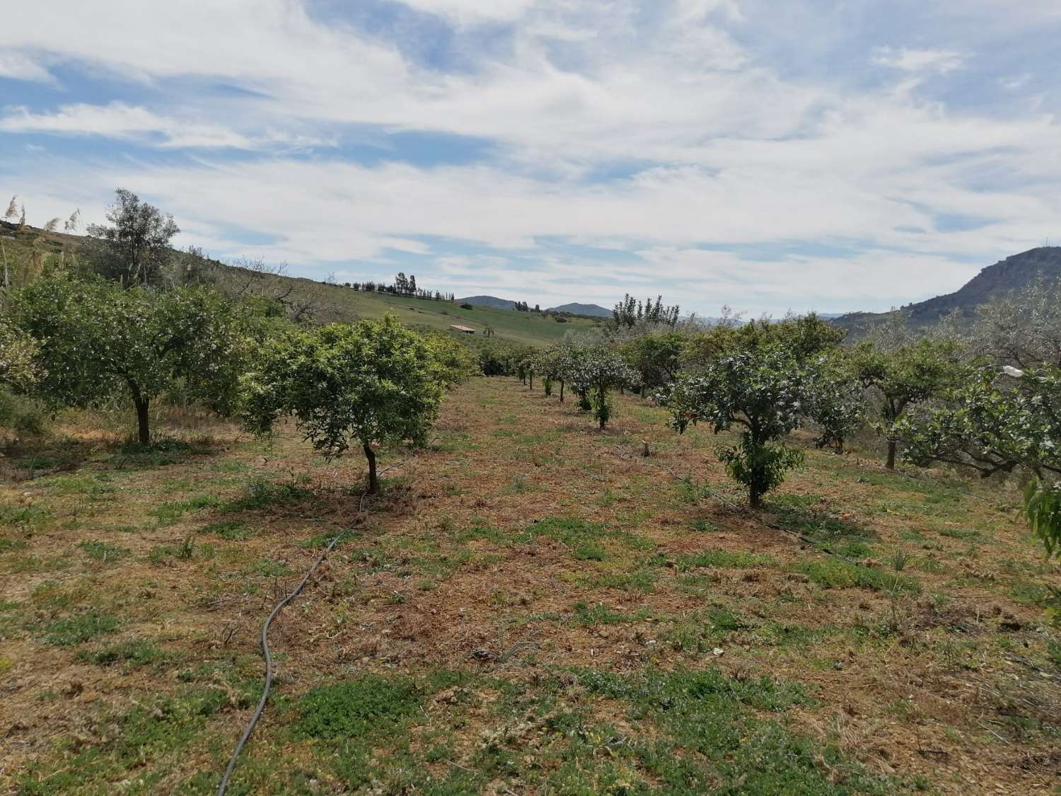 Finca confortable avec des vues magnifiques