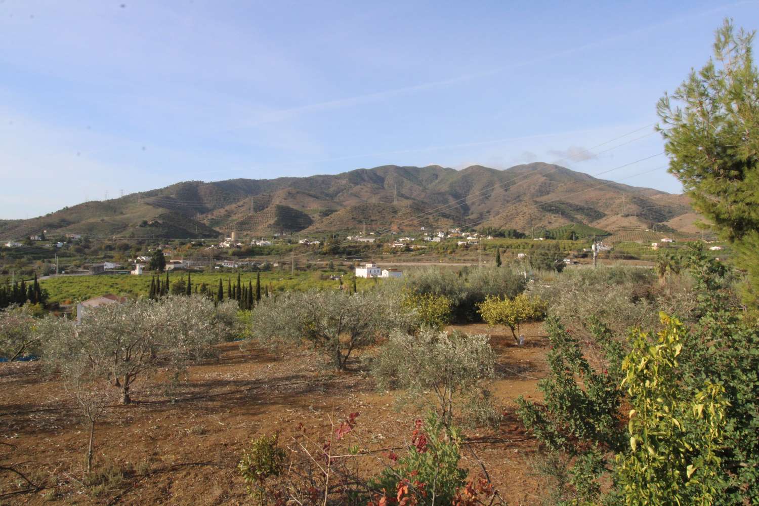 Cozy Finca with wonderful views