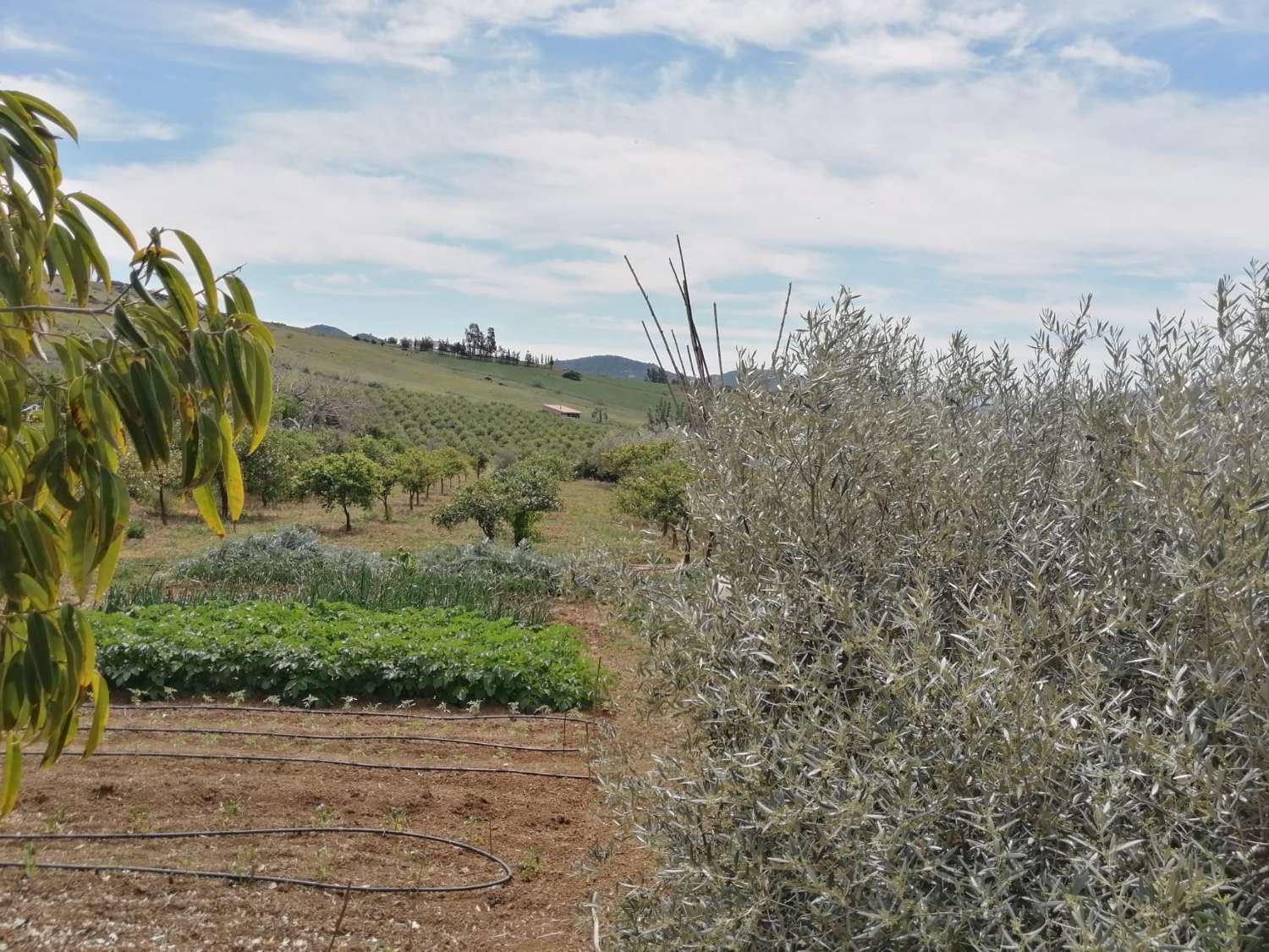 Coqueta Finca con maravillosas Vistas