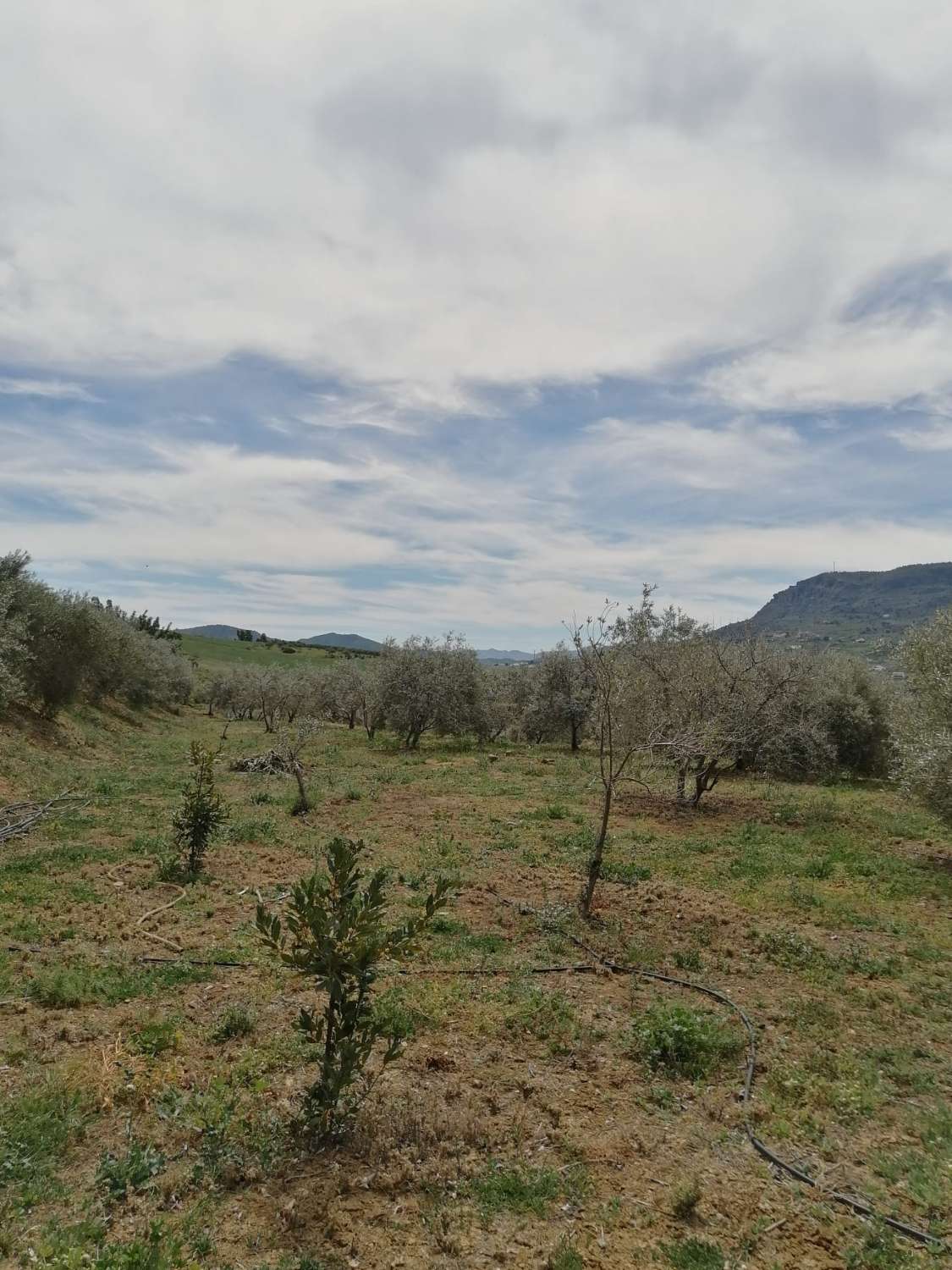 Gemütliche Finca mit herrlicher Aussicht