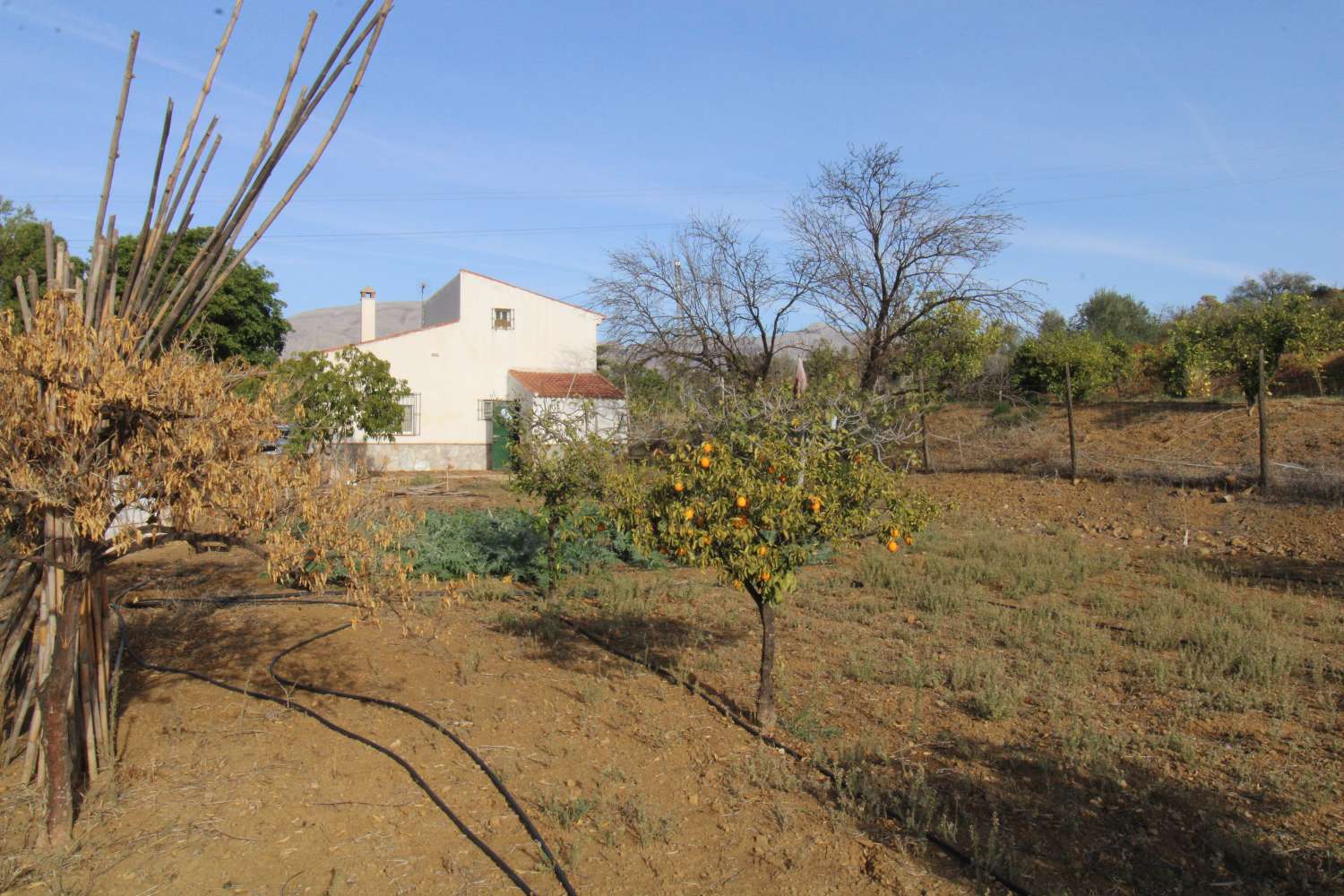 Coqueta Finca con maravillosas Vistas