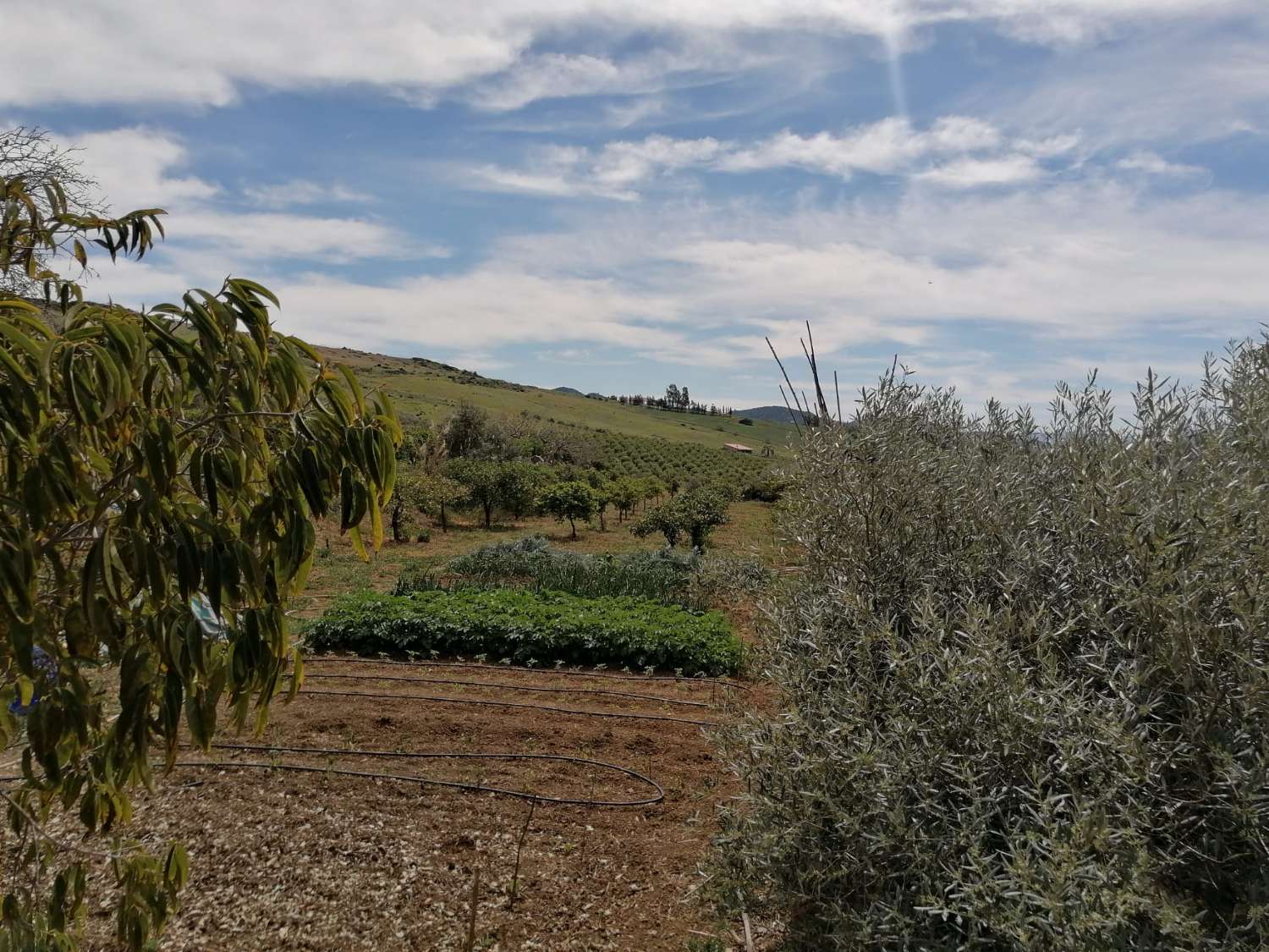 Coqueta Finca con maravillosas Vistas