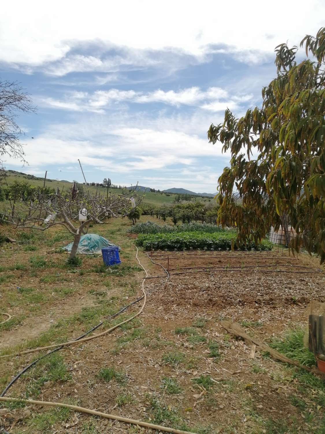 Coqueta Finca con maravillosas Vistas