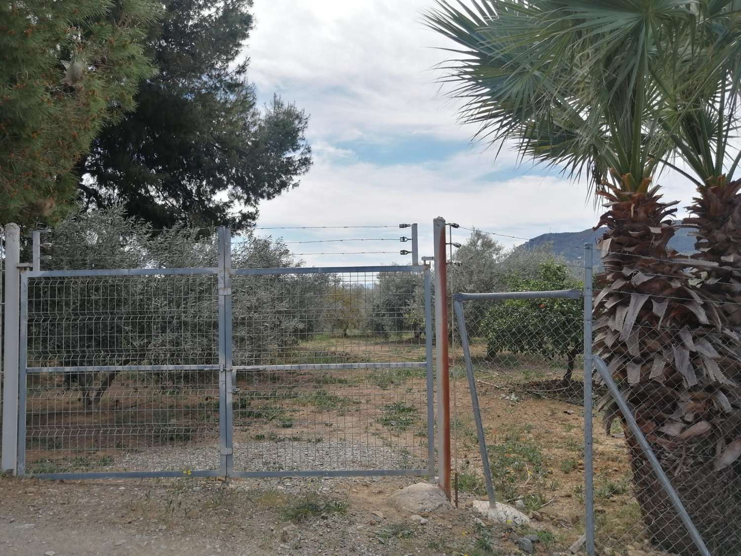 Gemütliche Finca mit herrlicher Aussicht