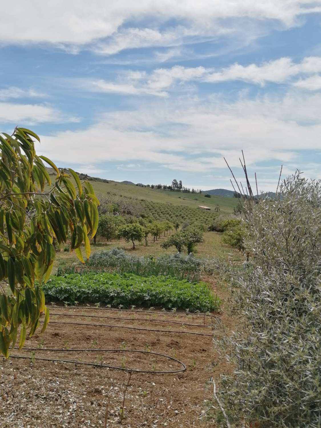 Finca confortable avec des vues magnifiques