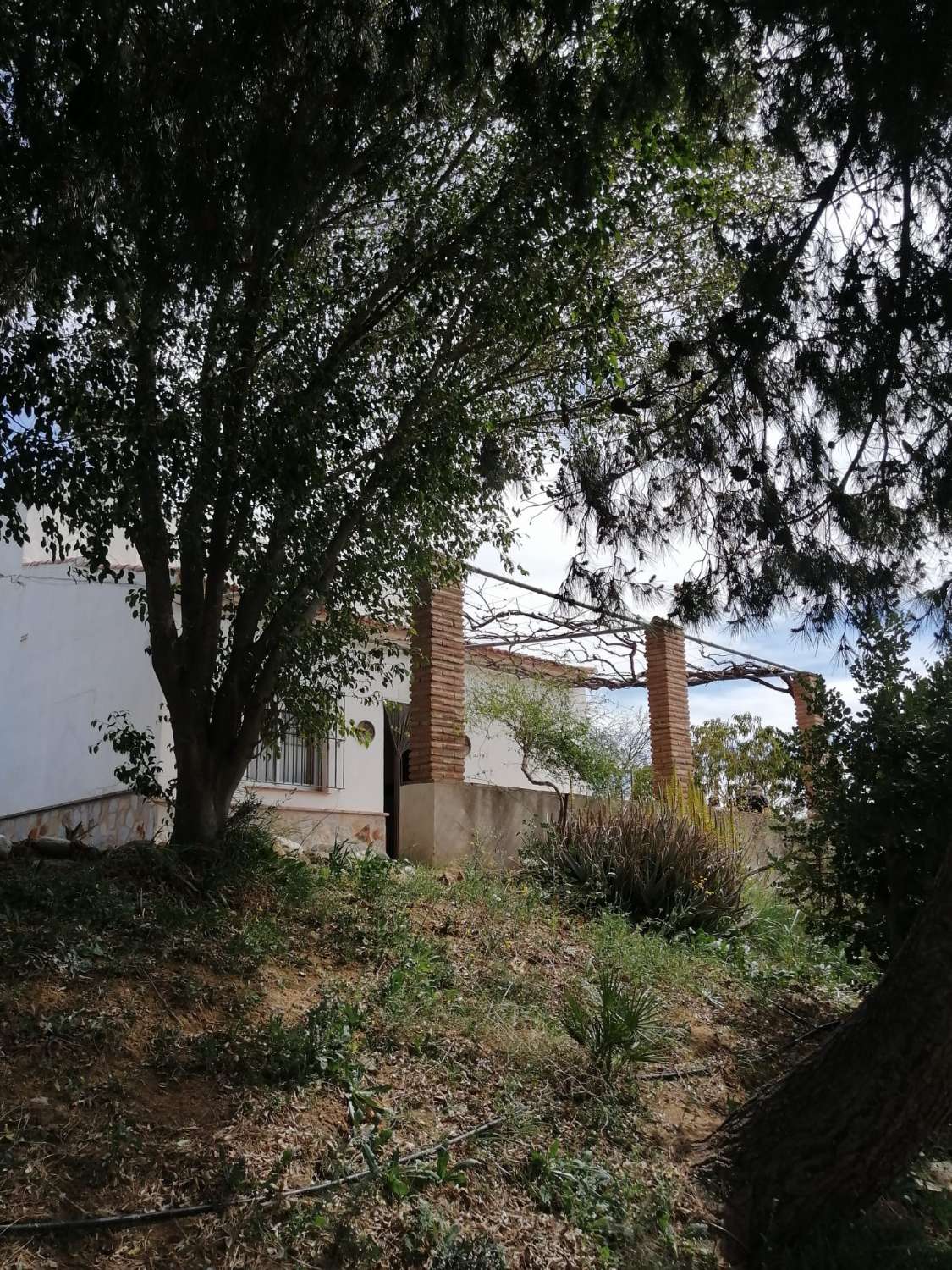 Gemütliche Finca mit herrlicher Aussicht