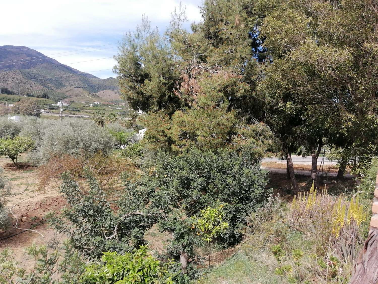 Gemütliche Finca mit herrlicher Aussicht