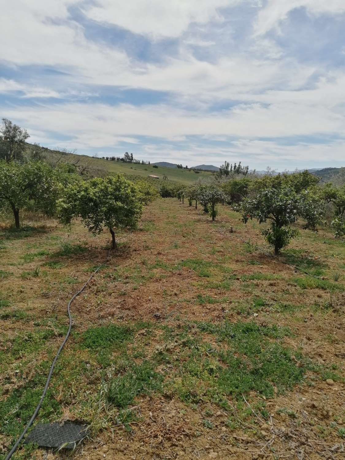 Finca confortable avec des vues magnifiques