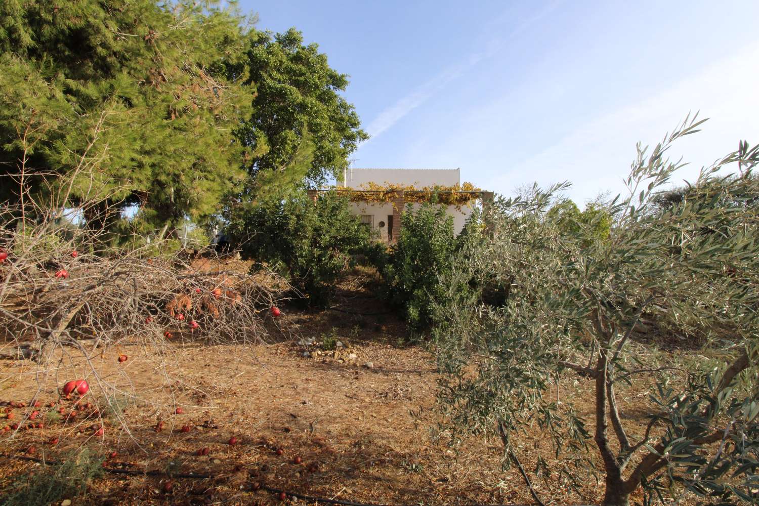 Coqueta Finca con maravillosas Vistas