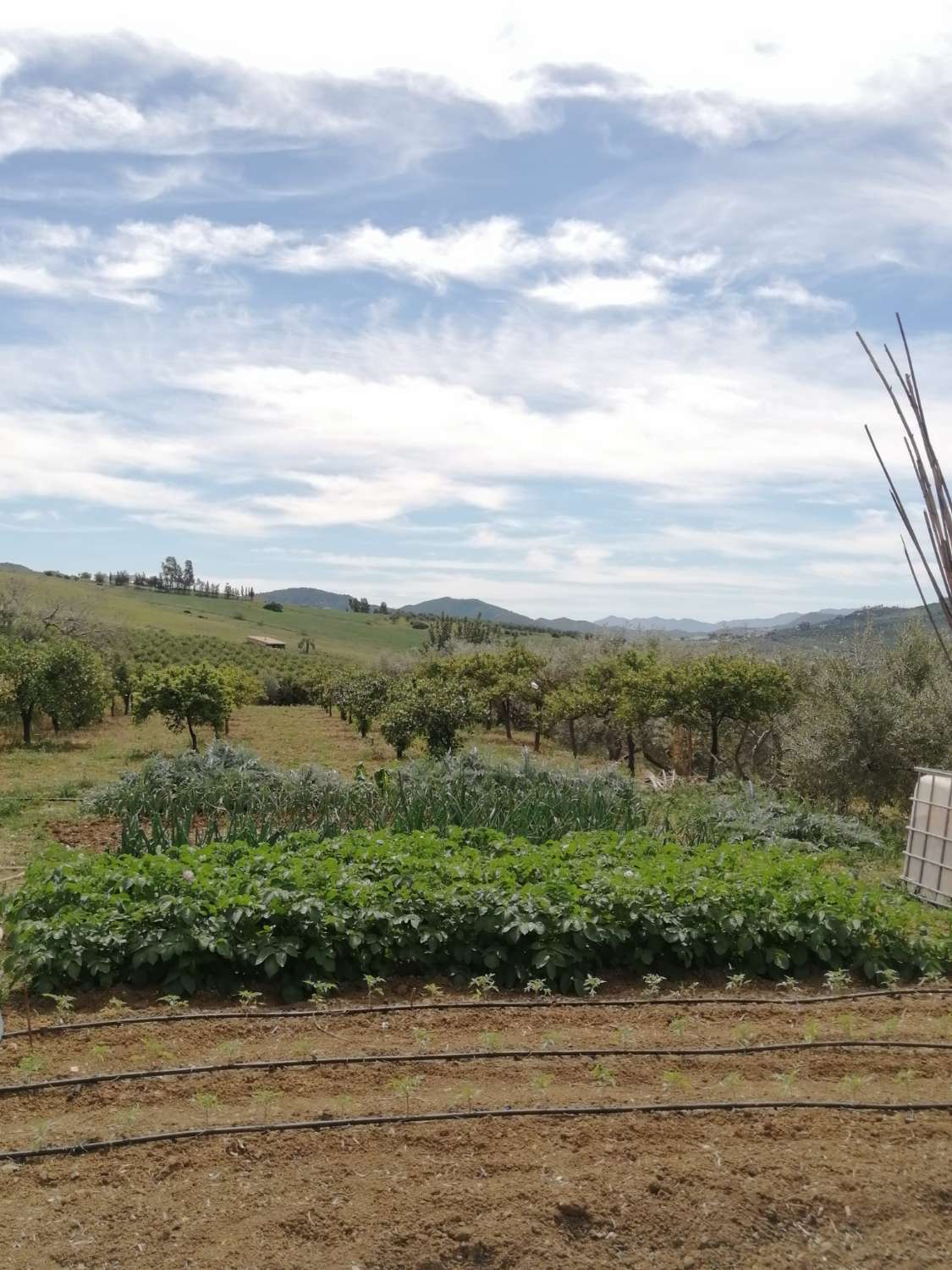 Gemütliche Finca mit herrlicher Aussicht