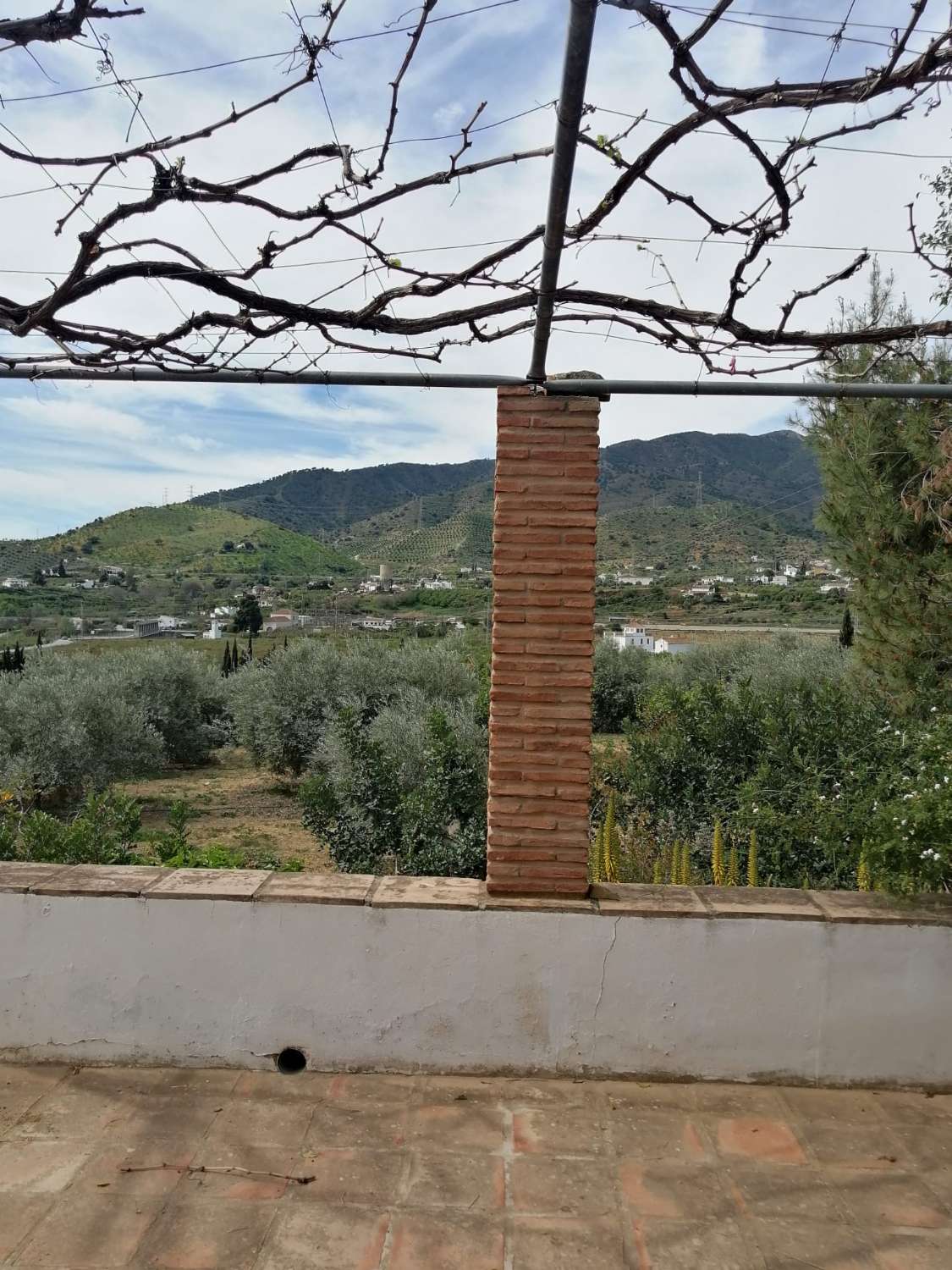 Cozy Finca with wonderful views