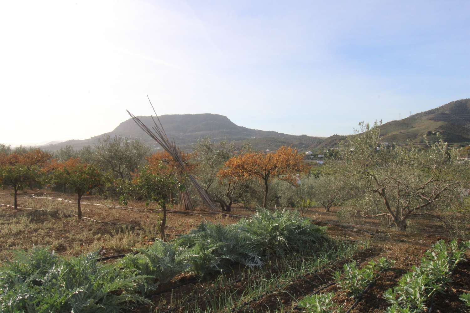 Finca confortable avec des vues magnifiques