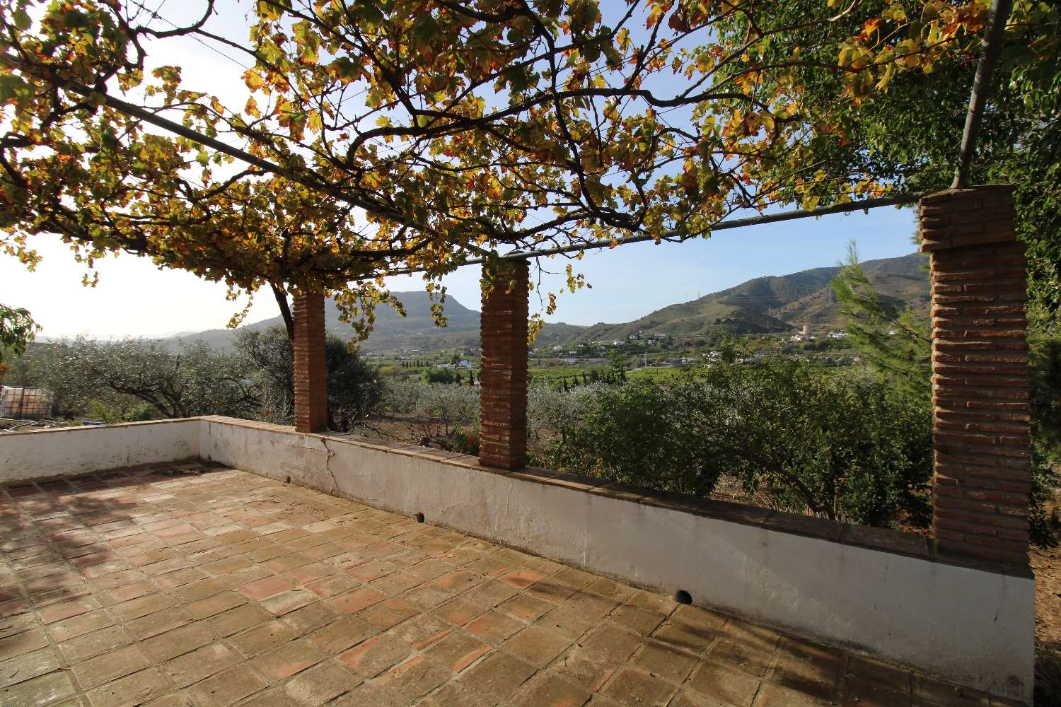 Cozy Finca with wonderful views