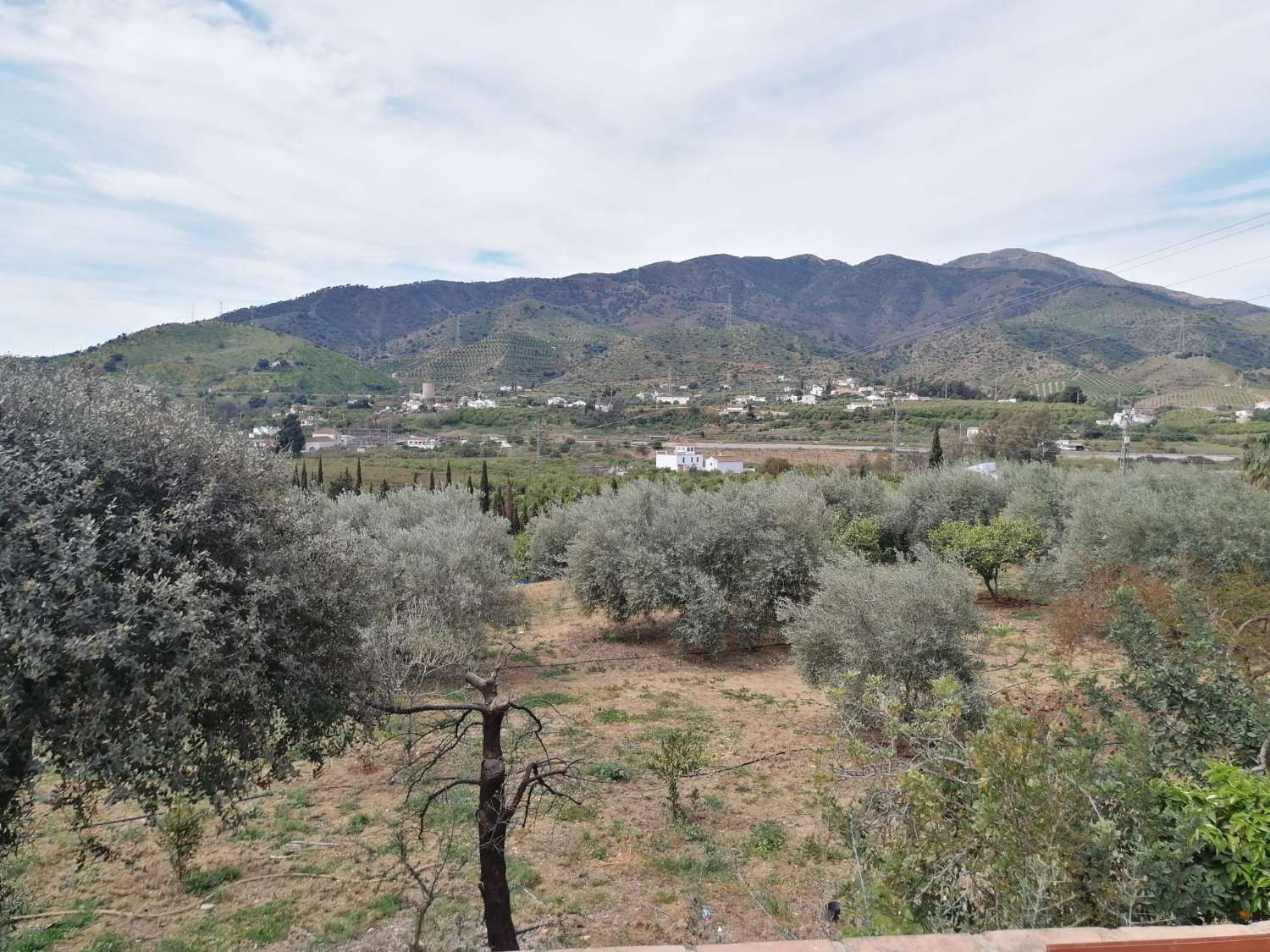 Cozy Finca with wonderful views