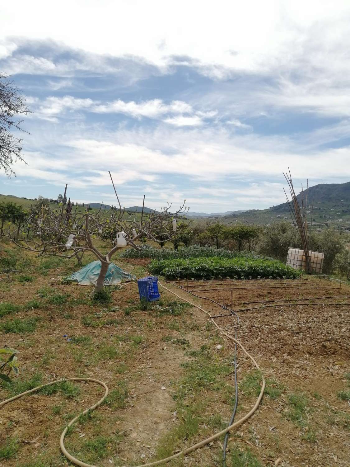 Finca confortable avec des vues magnifiques