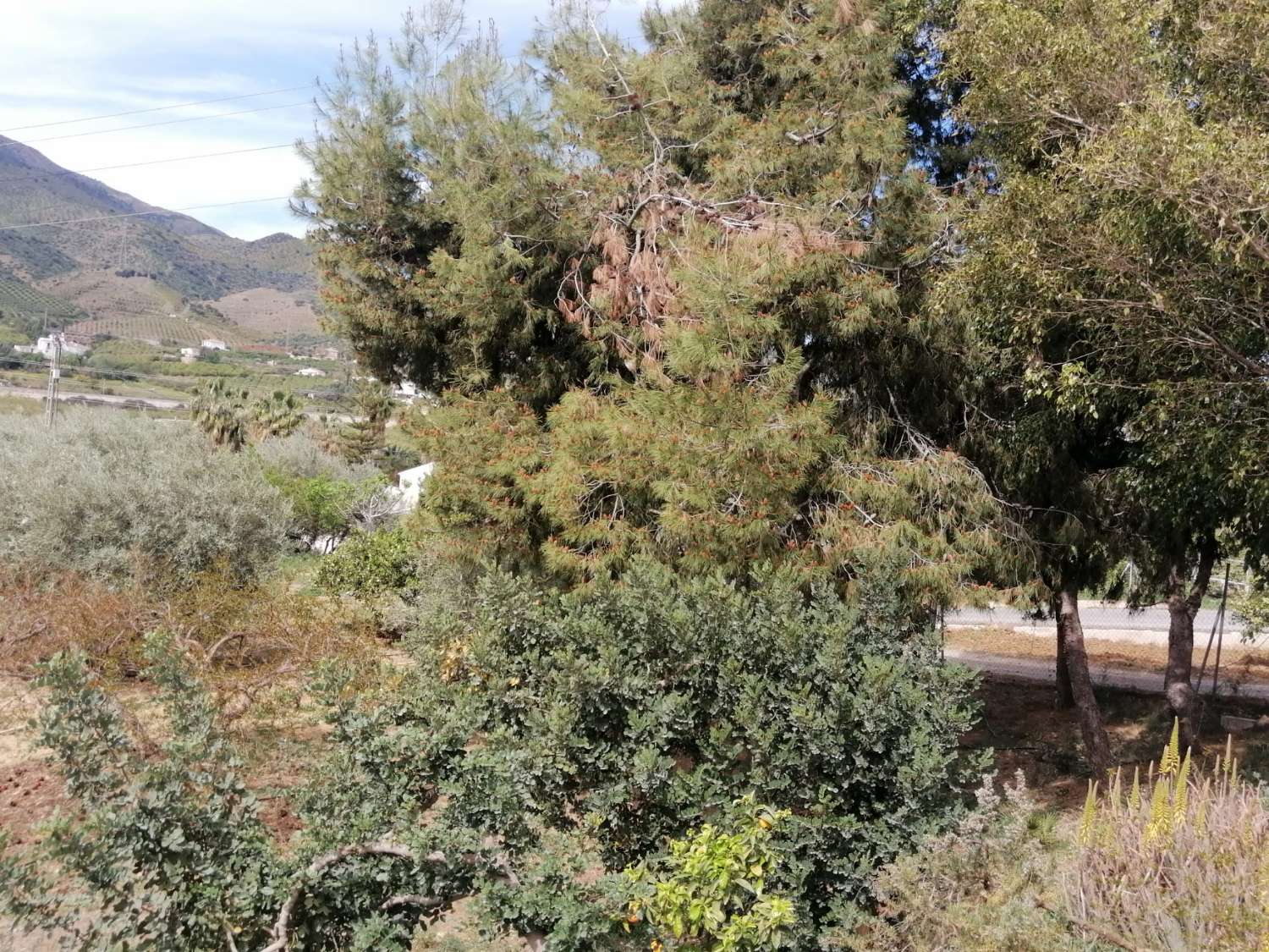 Gemütliche Finca mit herrlicher Aussicht